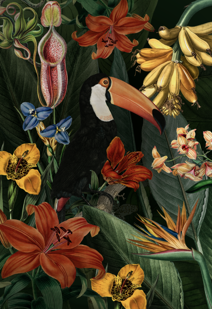 Toucan Art Print