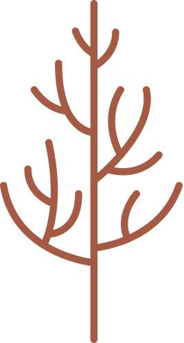 Tree icon