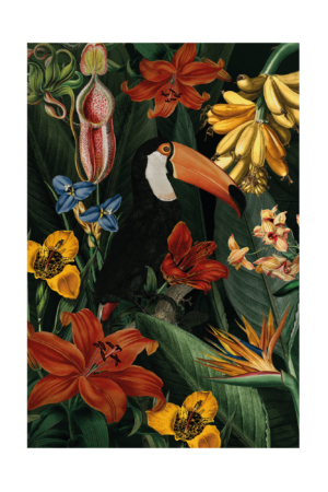 Toucan Art Print 61x91 (XL)