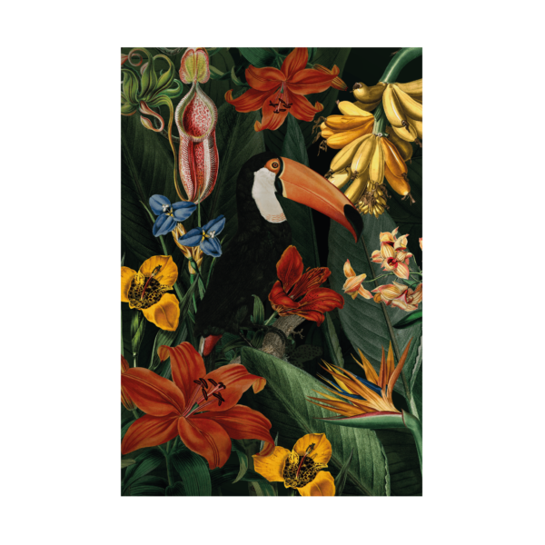 Toucan Art Print 61x91 (XL)