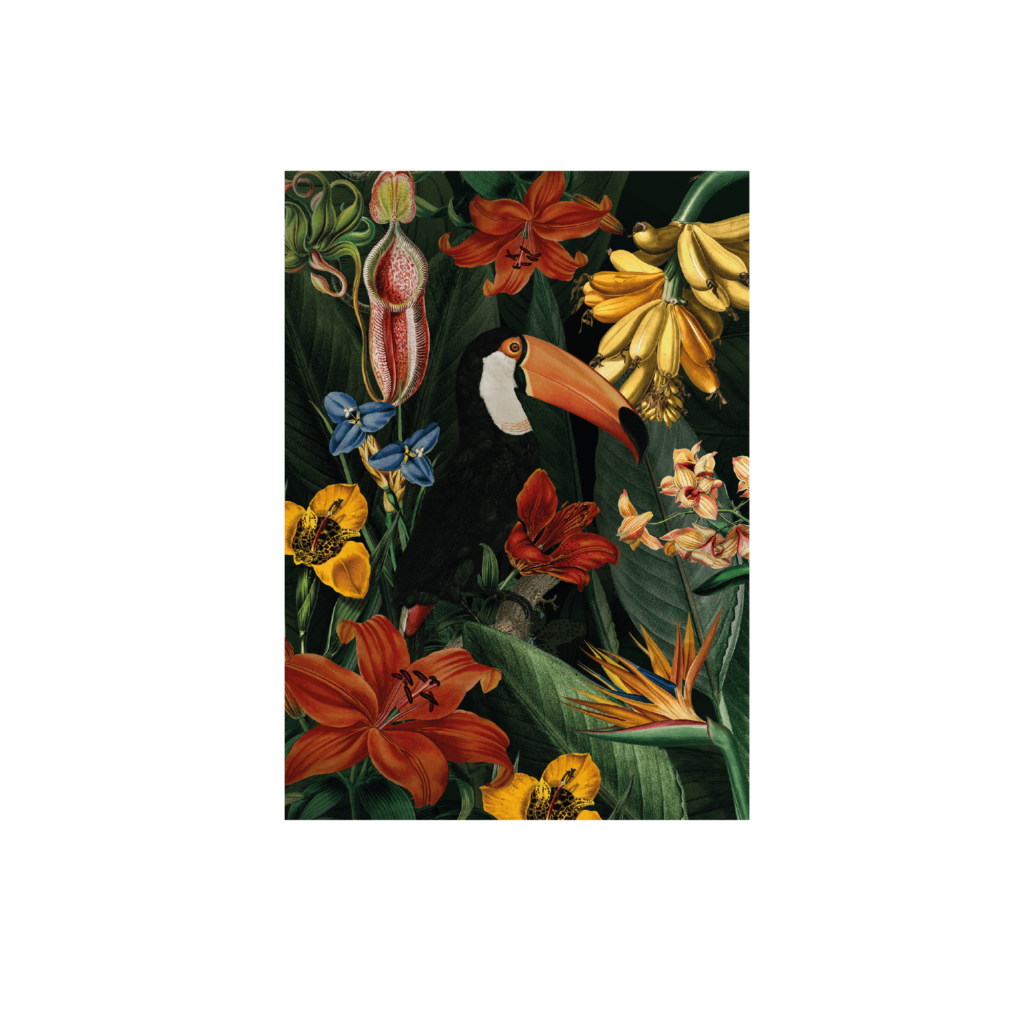 Toucan Art Print 50×70 (L)