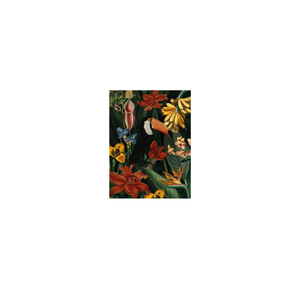 Toucan Art Print M