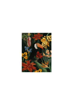 Toucan Art Print M